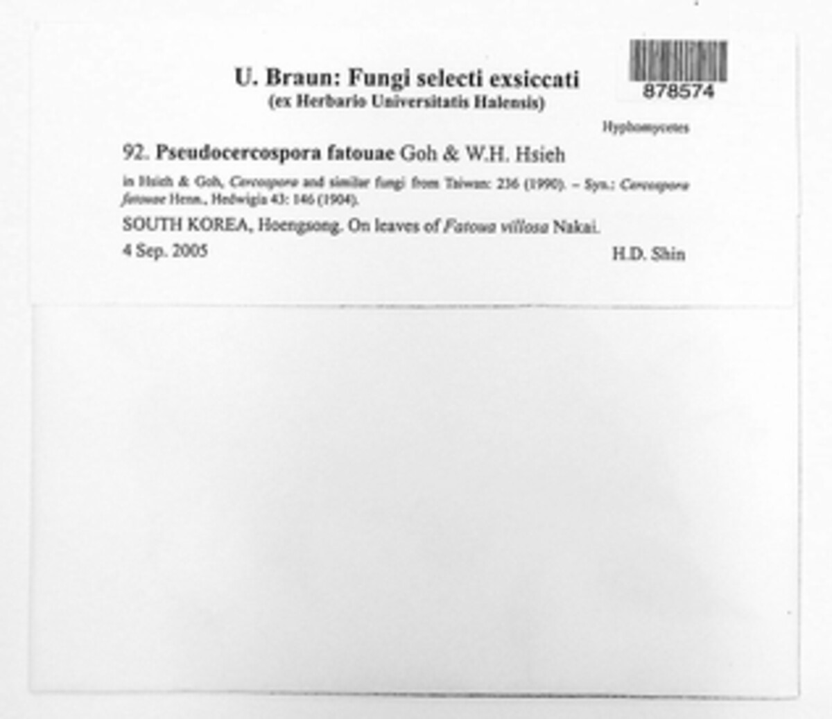 Pseudocercospora fatouae image